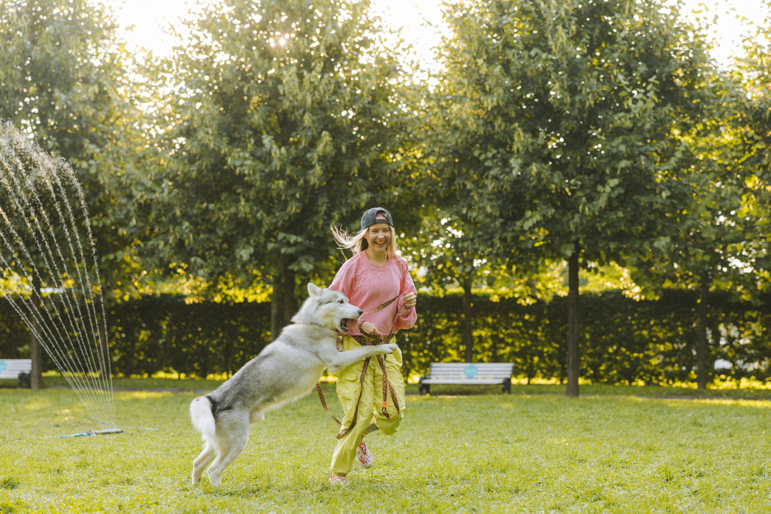Woman and husky dog enjoy playful moment in a sunlit park with green grass and trees.