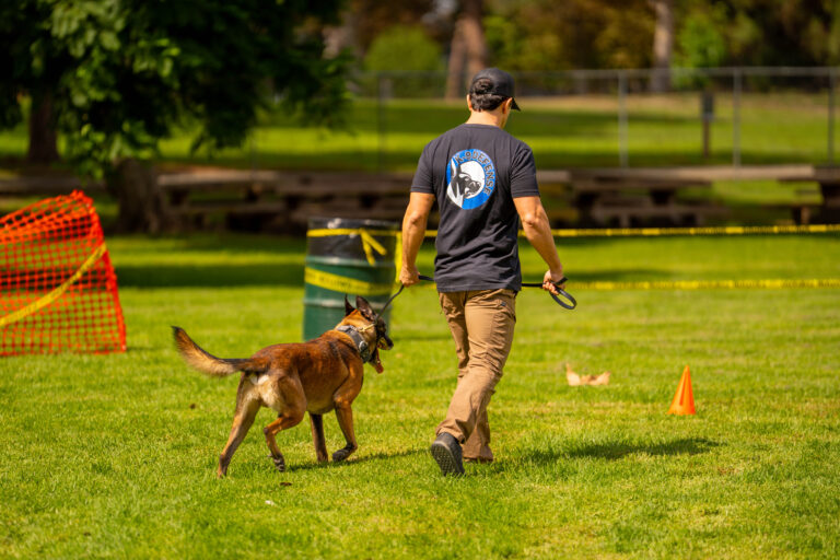 Dog behavior mastery training with Ironwood Dog Training