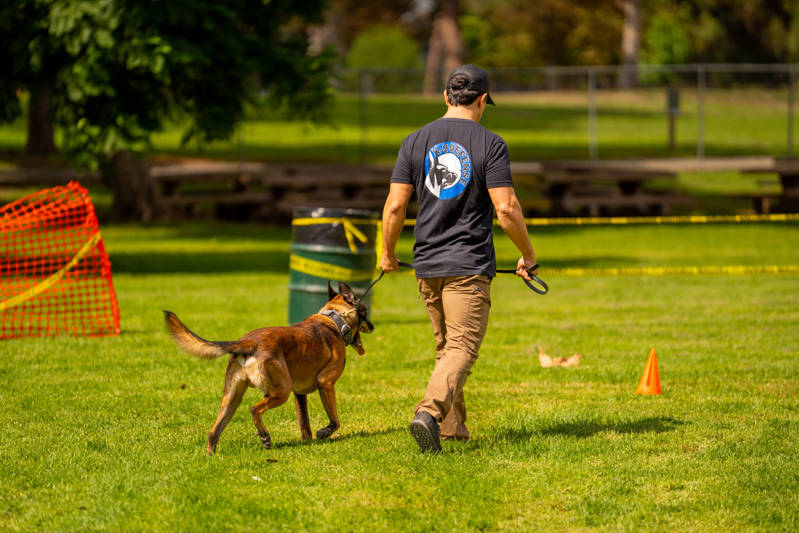 how to teach a dog to walk without pulling using operant conditioning leash training