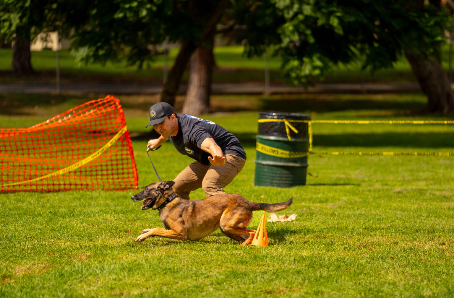 Robert Santana handling a Belgian Malinois in high drive on leash at a dog sport event in Phoenix, Arizona