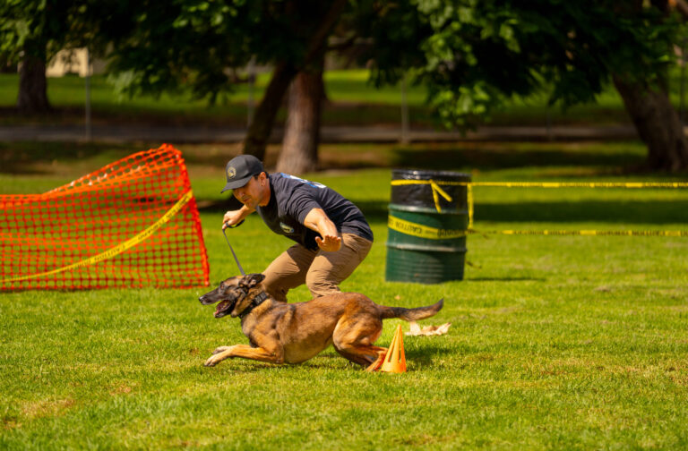 Advanced Techniques for Behavior Mastery